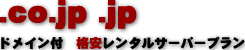 .co.jp .jp　ドメイン　付　レンタルサーバープラン
